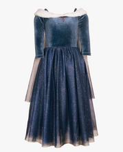 the Ice Queen  Costume Dress