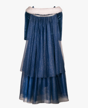 the Ice Queen  Costume Dress