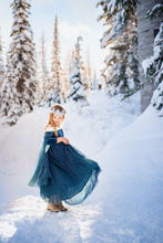 the Ice Queen  Costume Dress