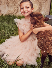 Tutu Du Monde Tea Rose Tutu Dress