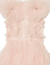 Tutu Du Monde Tea Rose Tutu Dress