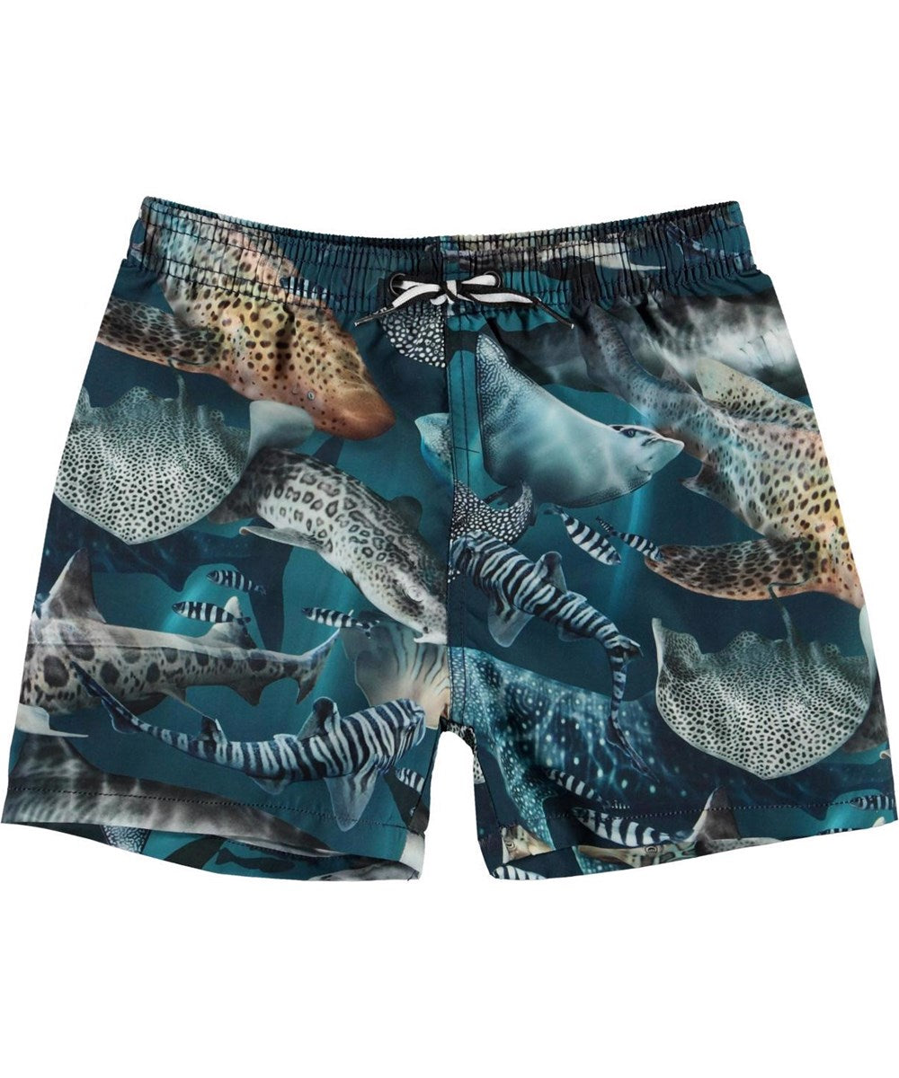 Niko Amazing Shark