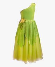 the Frog Princess or Tinker Fairy Costume Dress