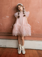 Abu Dhabi Glitter Tulle Dress